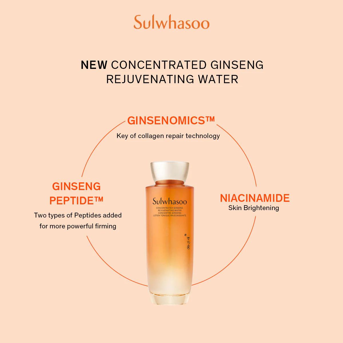 Sulwhasoo Concentrated Ginseng Rejuvenating Duo Set Secondary image