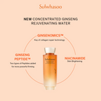 Sulwhasoo Concentrated Ginseng Rejuvenating Duo Set