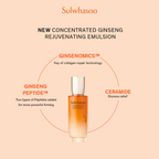 Sulwhasoo Concentrated Ginseng Rejuvenating Duo Set