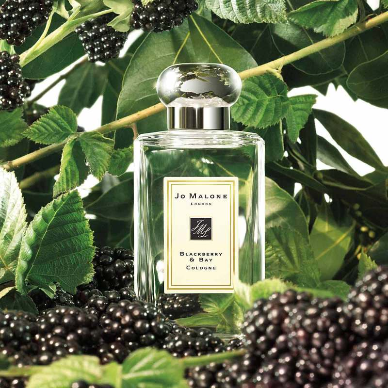 Jo Malone Blackberry & Bay Cologne Secondary image