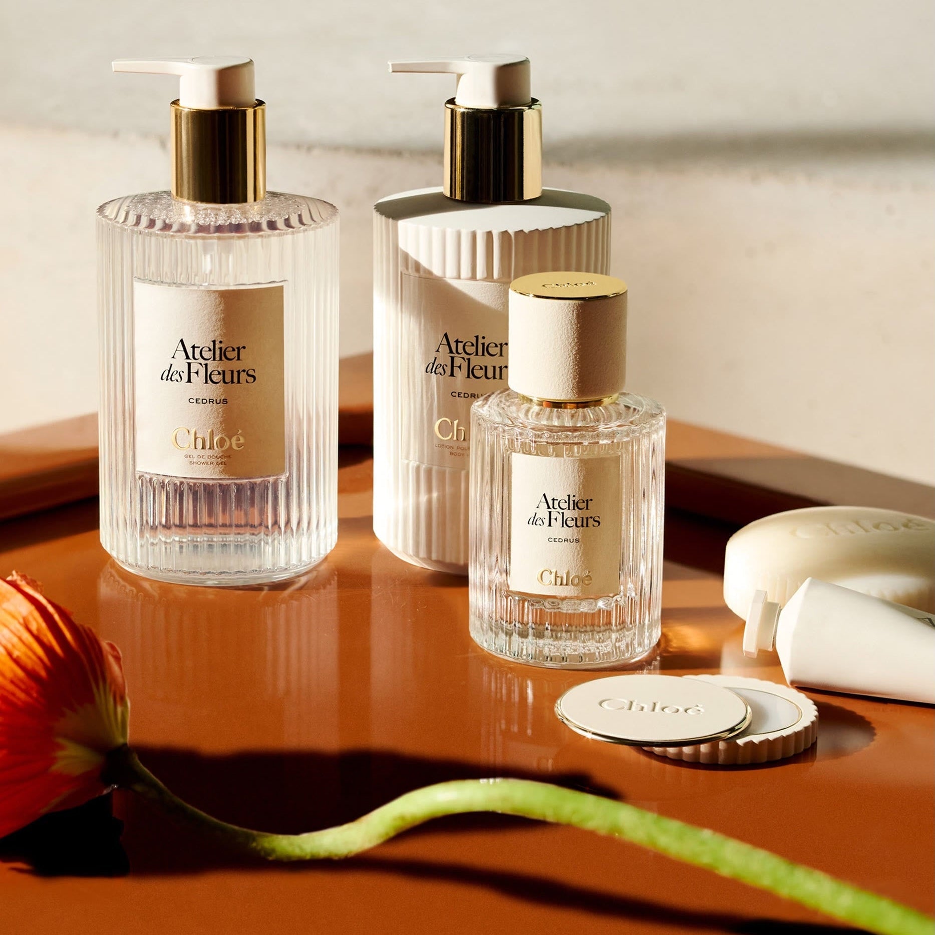 Chloé Atelier des Fleurs Cedrus Eau de Parfum & Body Lotion Gift Set (Limited Edition) Secondary image