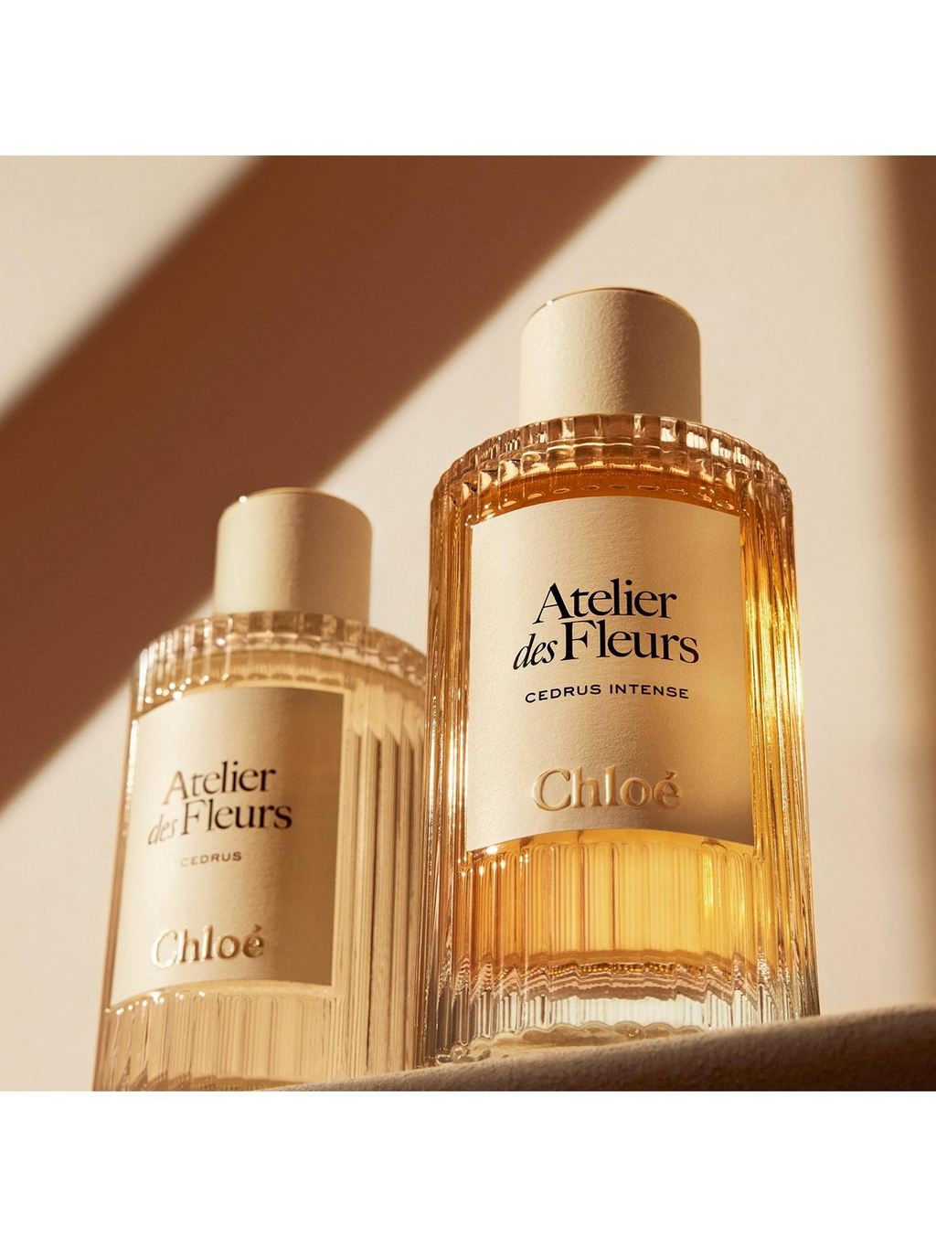 Chloe Atelier Des Fleurs Cedrus Intense Eau De Parfum