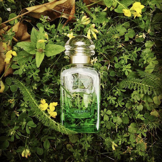 Hermès Un Jardin Sur Le Toit Eau De Toilette Secondary image