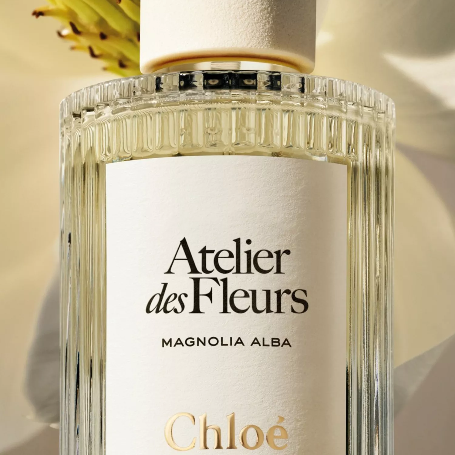 Chloé Atelier des Fleurs Magnolia Alba Eau de Parfum Secondary image
