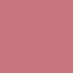 Tom Ford Beauty Slim Lip Color Shine Lipstick 0.9g