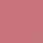 Tom Ford Beauty Slim Lip Color Shine Lipstick 0.9g