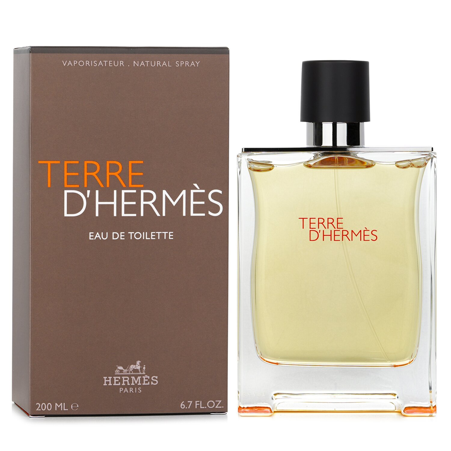 Hermès Terre d'Hermes Eau de Toilette