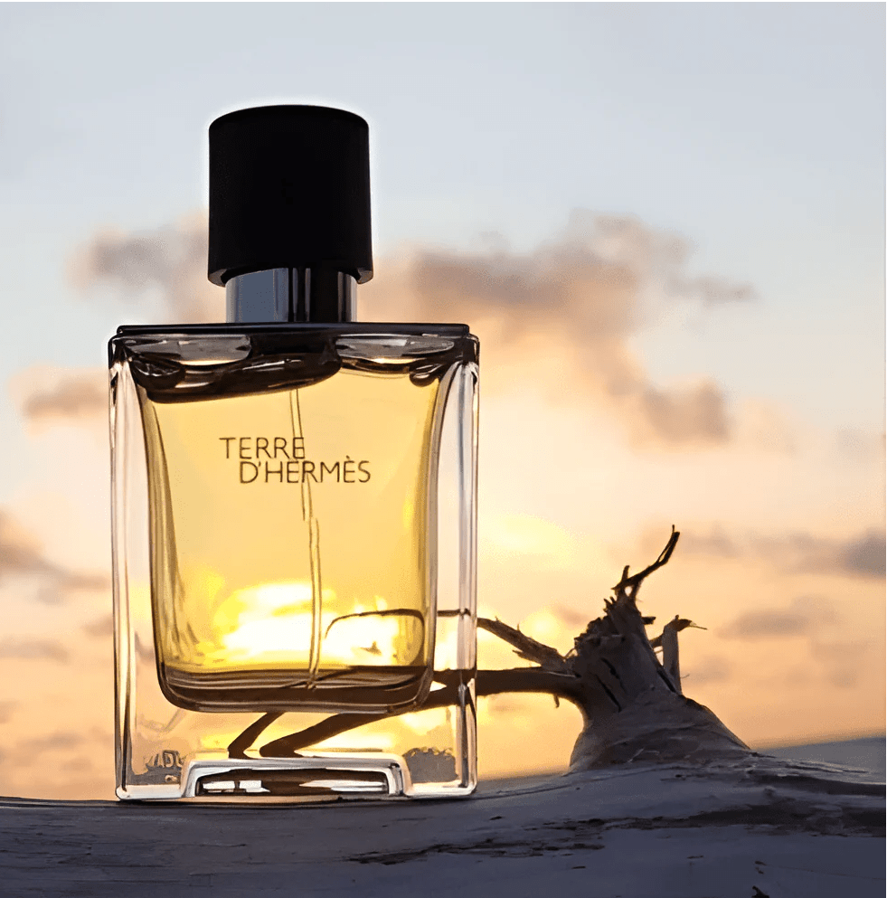 Hermès Terre d'Hermes Eau de Toilette Secondary image